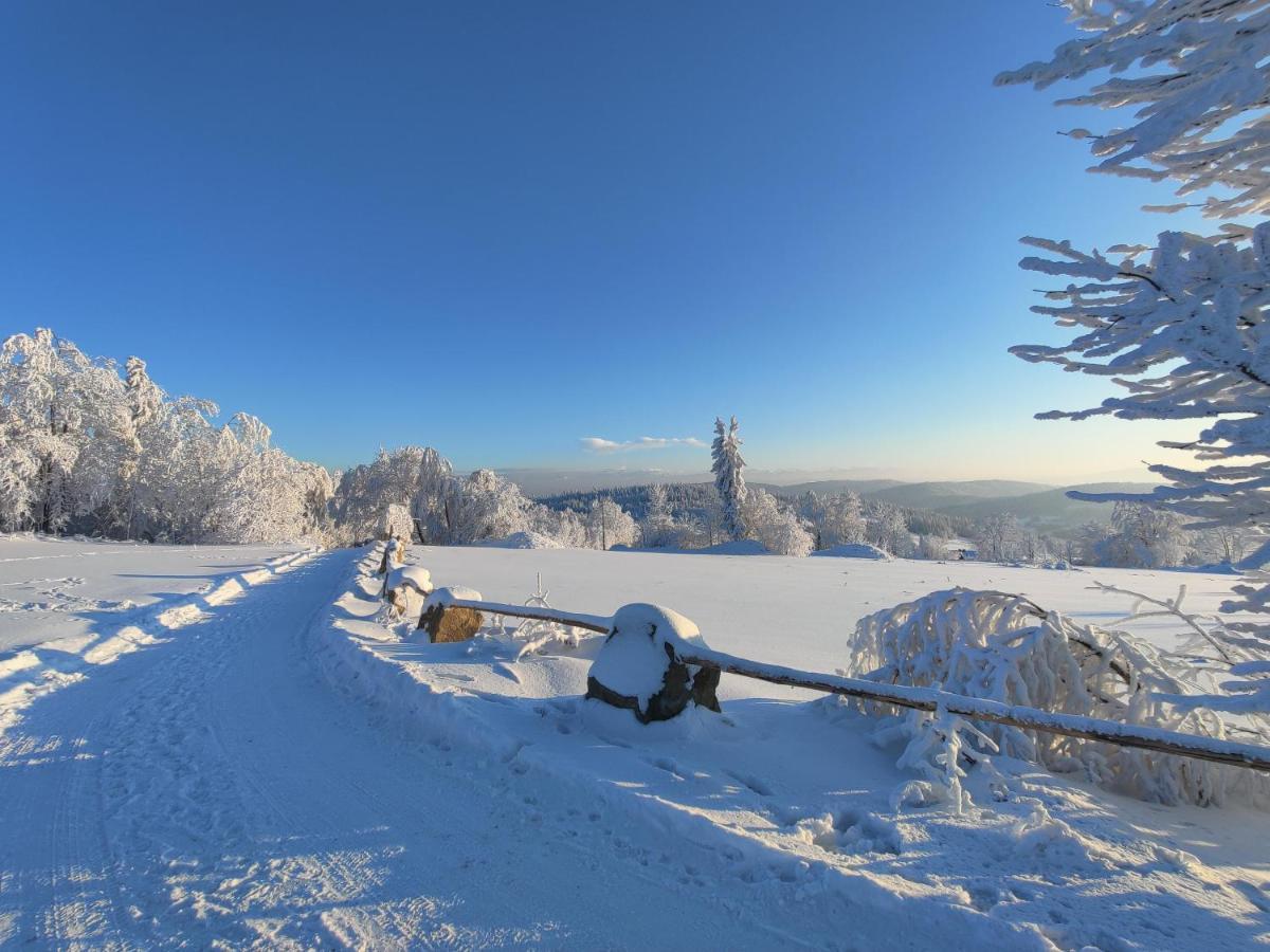 Wrzosowy Dwor - Spa Skomielna Czarna ภายนอก รูปภาพ