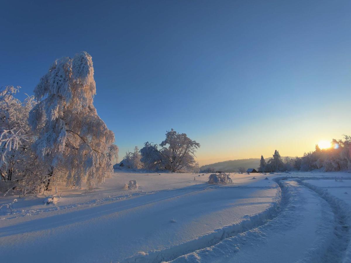 Wrzosowy Dwor - Spa Skomielna Czarna ภายนอก รูปภาพ